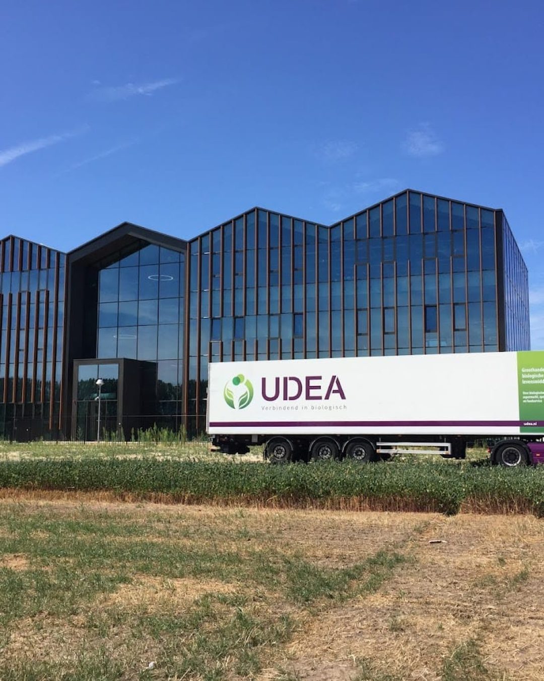 rr-recruitment-udea